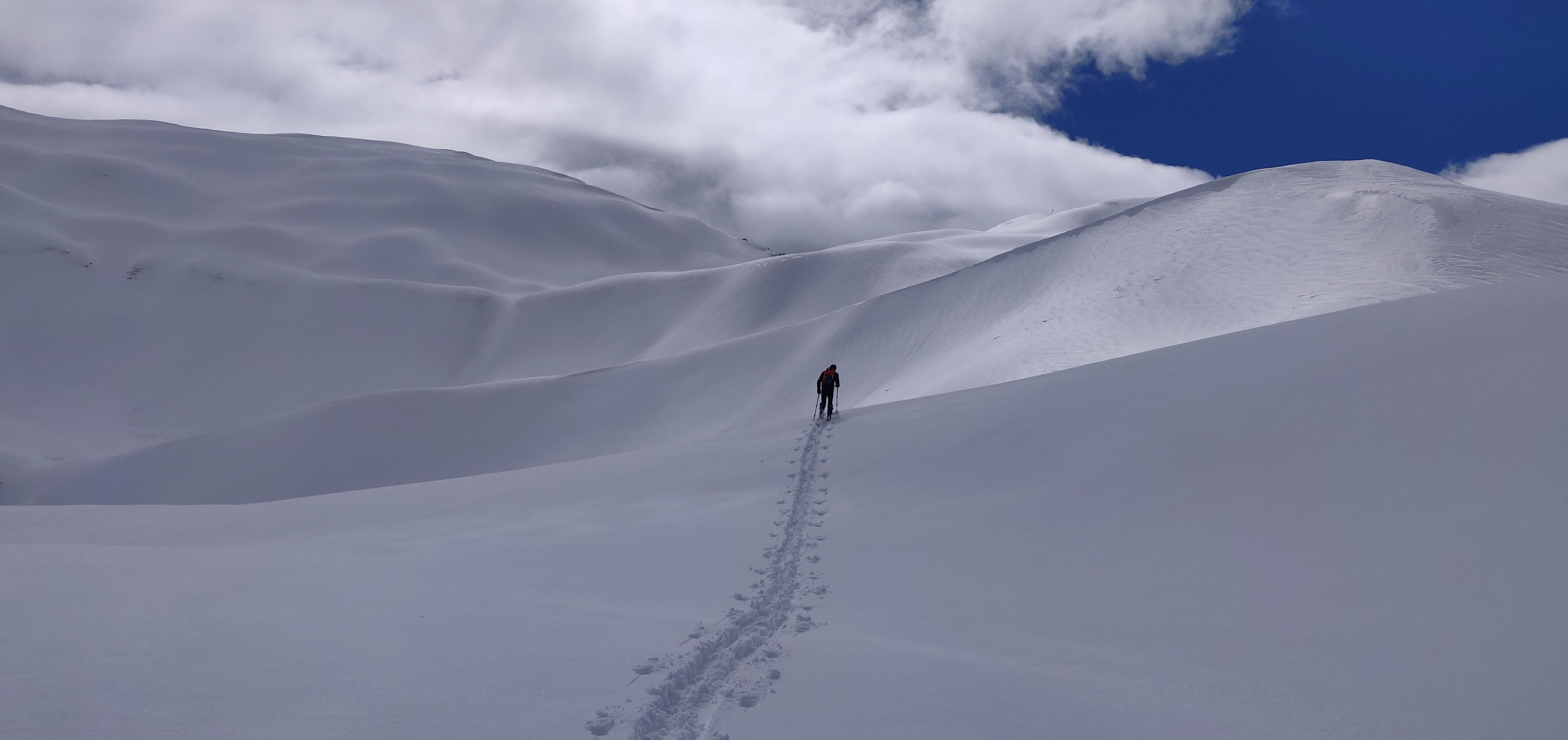 Ski